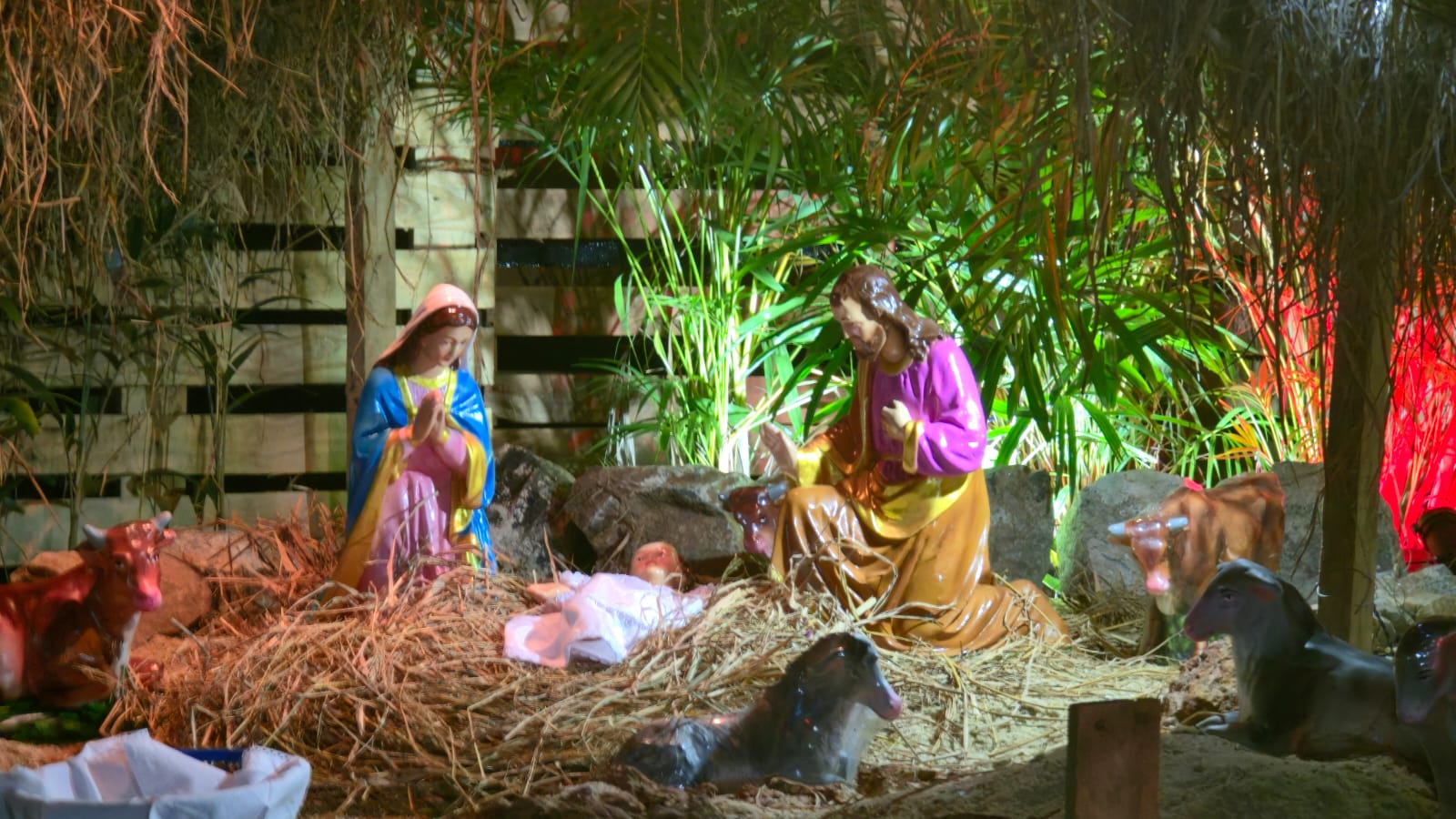 Christmas at Christ the King Church Pannipitiya